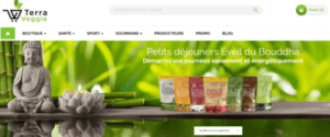 Agence web SEO Perpignan
