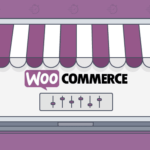 Consultant SEO Perpignan woocommerce (1)