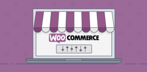 AGENCE WEB PERPIGNAN woocommerce (1)